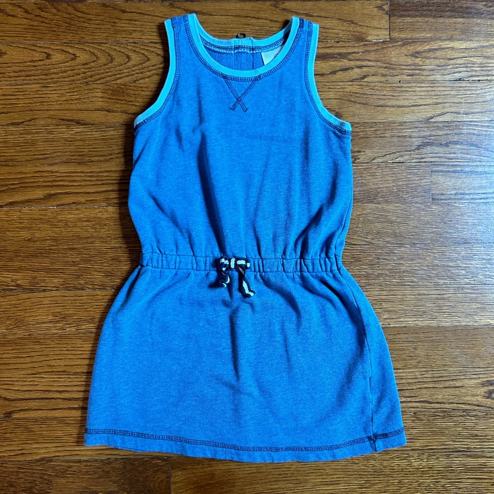 Blue Hanna Andersson Dress